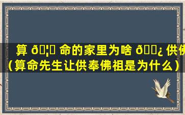 算 🦁 命的家里为啥 🌿 供佛（算命先生让供奉佛祖是为什么）